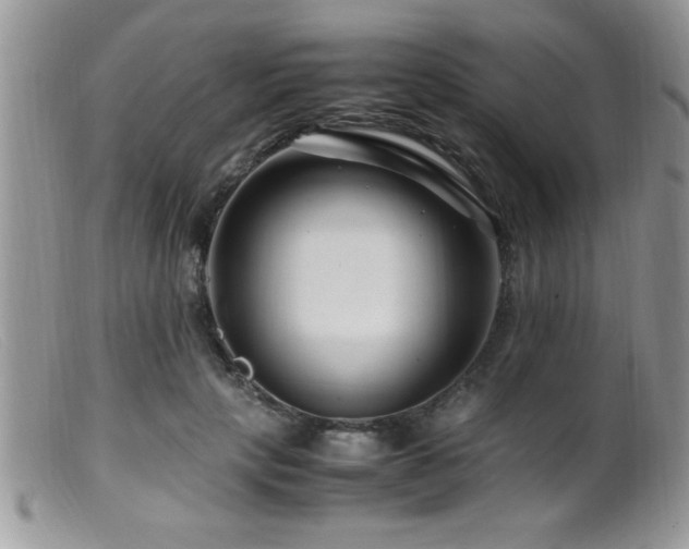 X0000099510649200805151500
