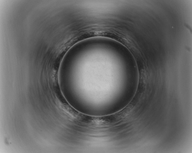 X0000099510650200805151500