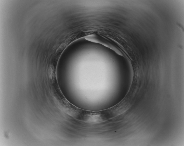 X0000099510651200805151500