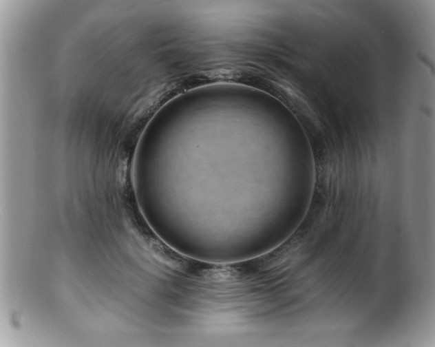 X0000099510652200805151500