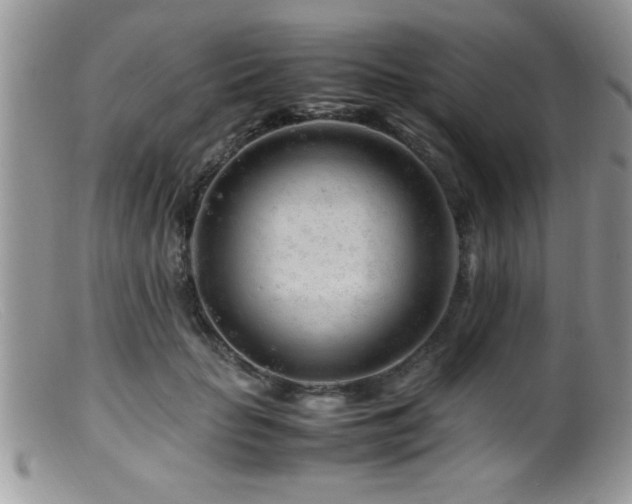 X0000099510653200805151500