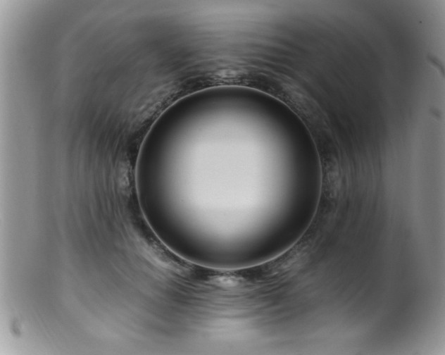 X0000099510654200805151500