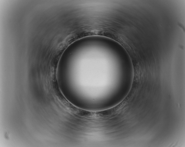 X0000099510656200805151500