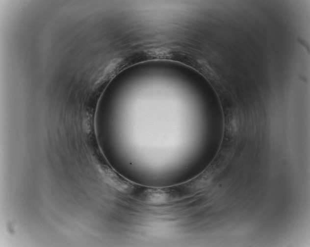 X0000099510658200805151500