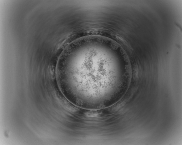 X0000099510661200805151500