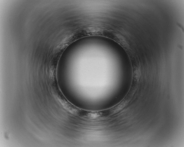X0000099510662200805151500