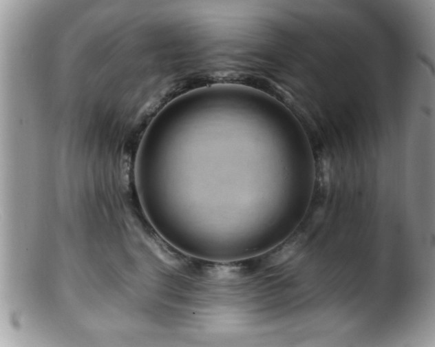 X0000099510664200805151500