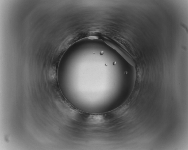 X0000099510665200805151500