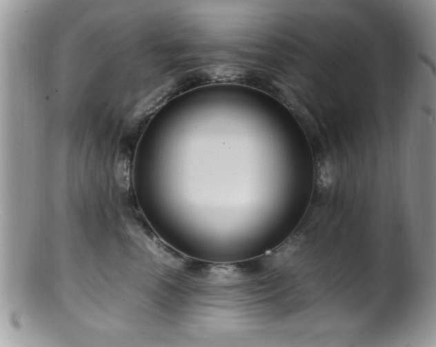 X0000099510666200805151500