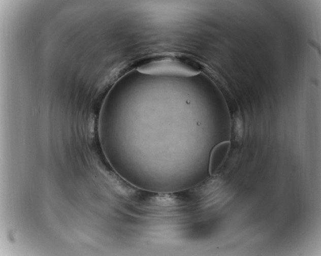 X0000099510668200805151500