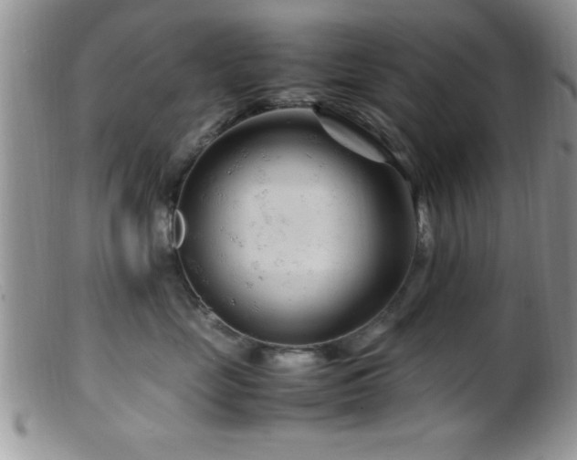 X0000099510669200805151500