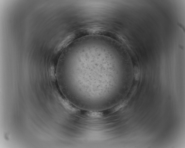X0000099510670200805151500
