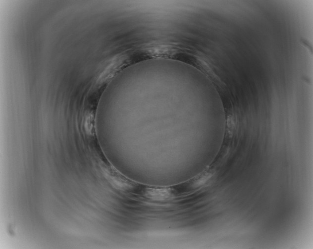 X0000099510671200805151500