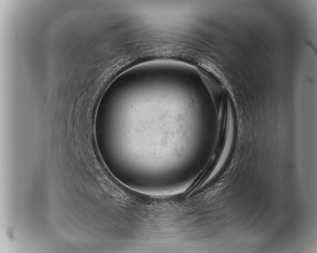 X0000099510673200805151500