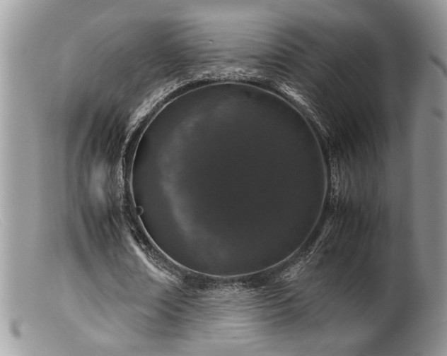 X0000099510674200805151500