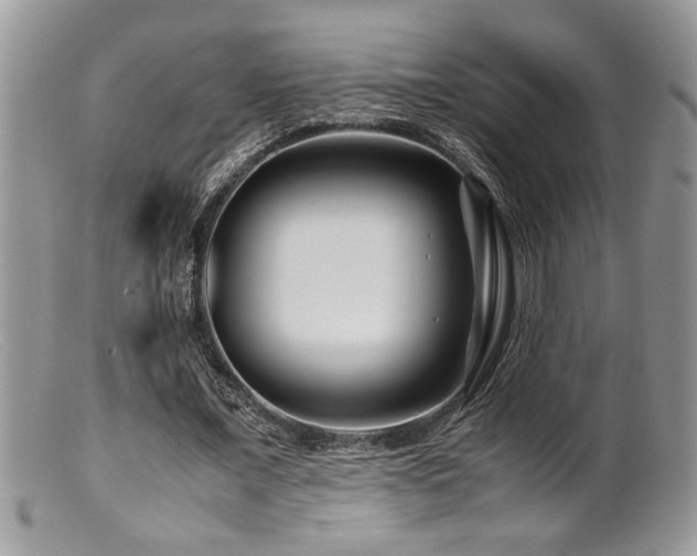 X0000099510675200805151500