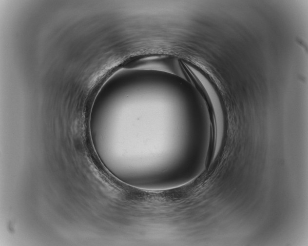 X0000099510677200805151500