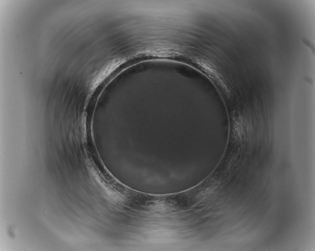 X0000099510678200805151500