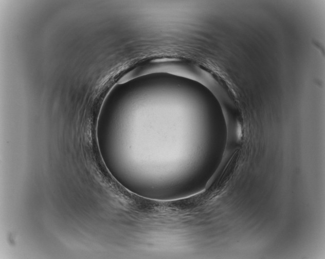 X0000099510681200805151500