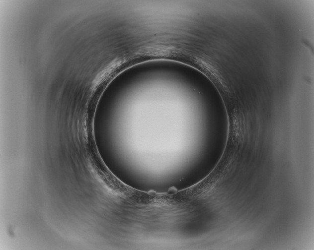 X0000099510682200805151500
