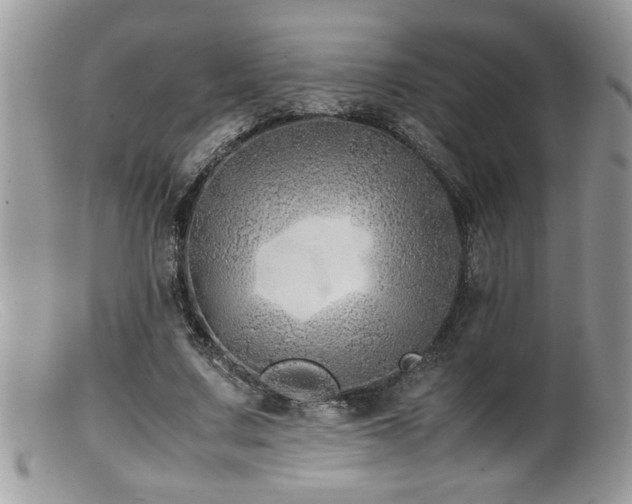 X0000099510683200805151500