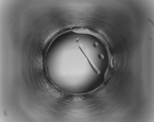 X0000099510684200805151500