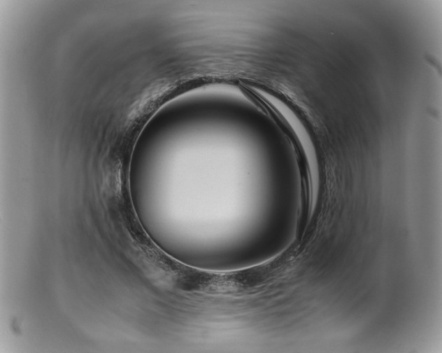 X0000099510685200805151459