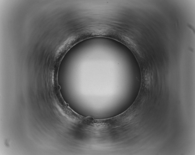 X0000099510686200805151459