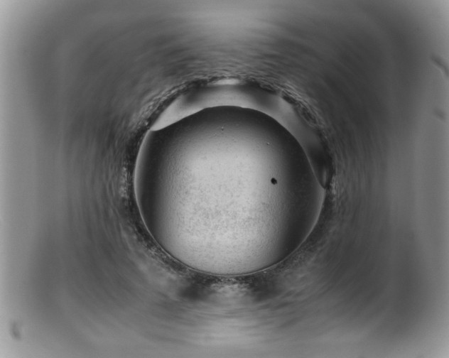 X0000099510689200805151459