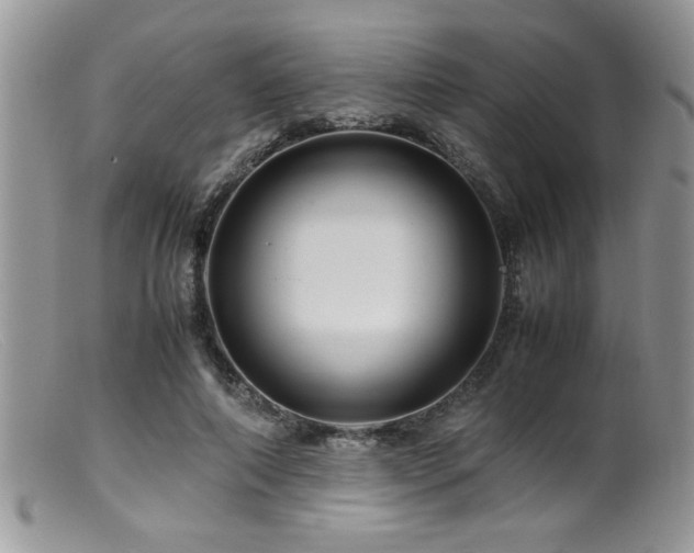 X0000099510690200805151459