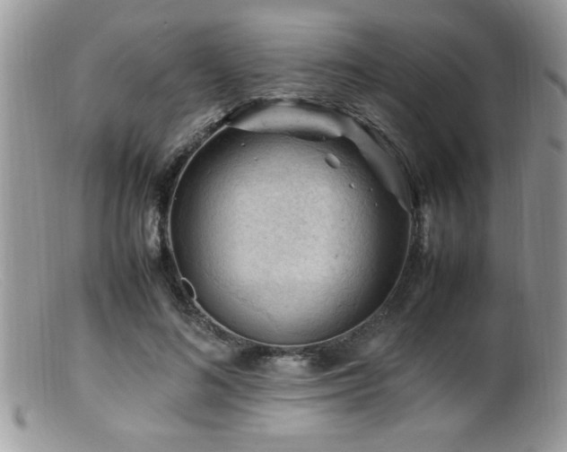 X0000099510692200805151459