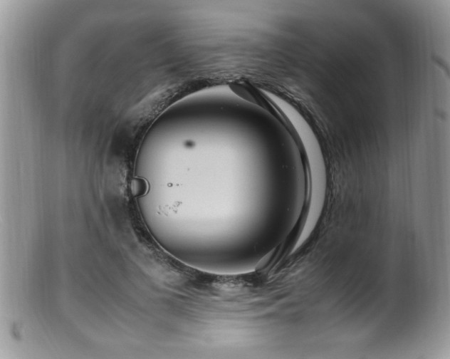 X0000099510693200805151459