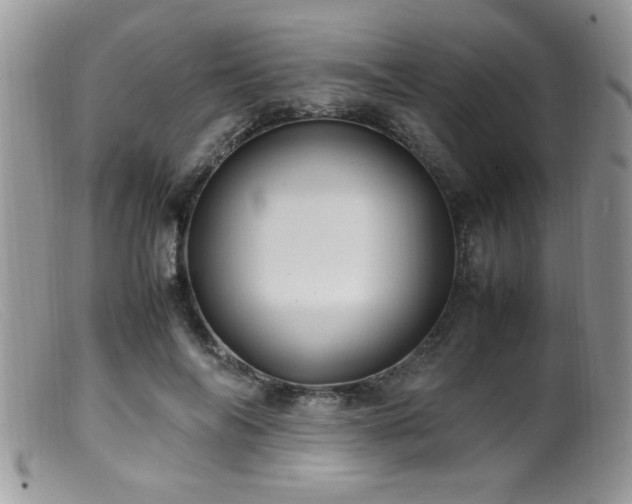 X0000099510694200805151459