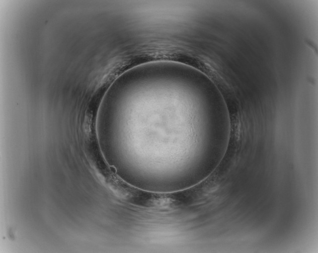 X0000099510695200805151459