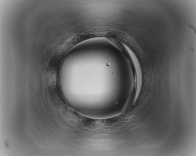 X0000099510697200805151459