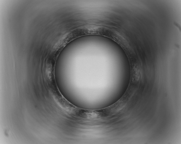 X0000099510698200805151459