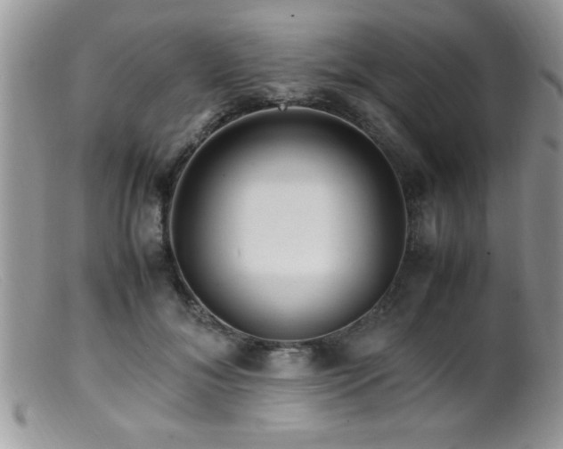 X0000099510700200805151459