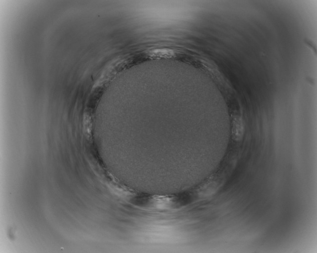 X0000099510701200805151459