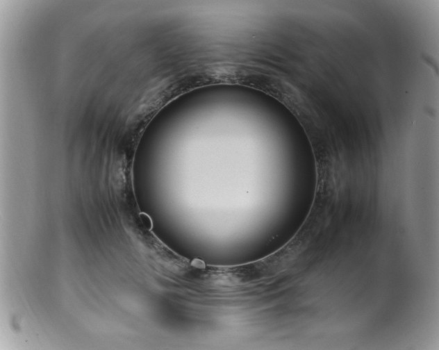 X0000099510702200805151459