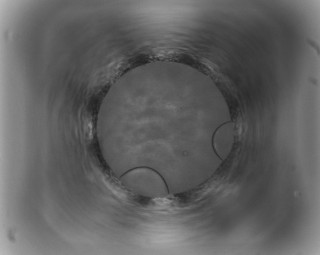 X0000099510703200805151459