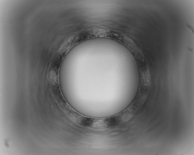 X0000099510705200805151459