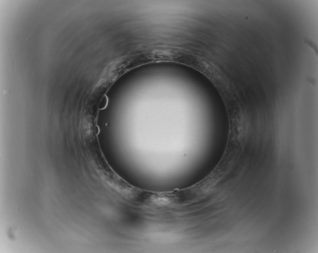 X0000099510706200805151459