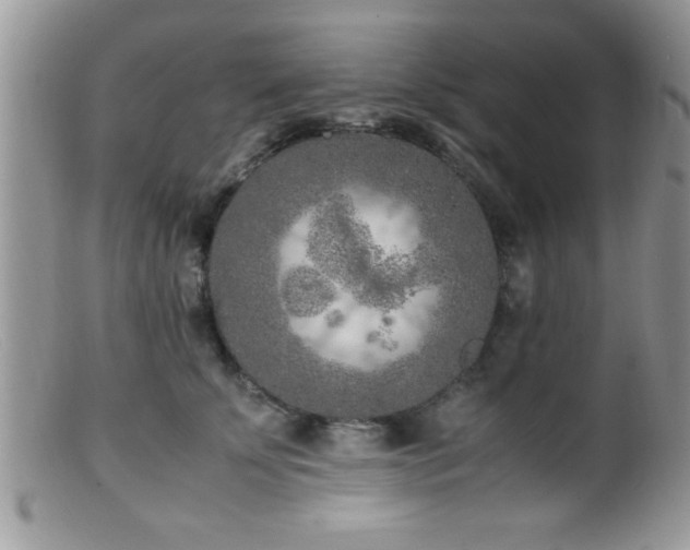 X0000099510707200805151459