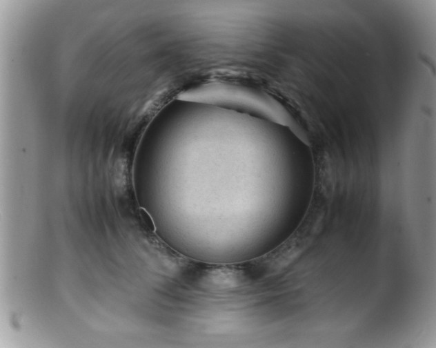 X0000099510708200805151459