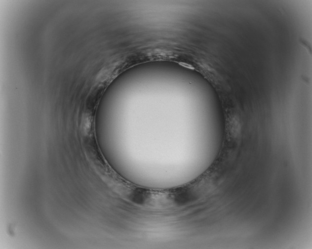 X0000099510709200805151459