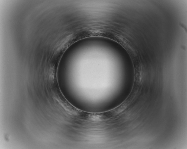 X0000099510710200805151459