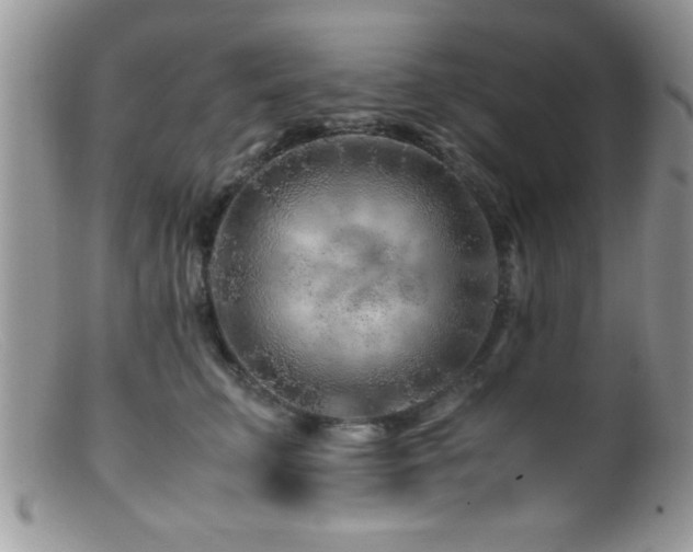 X0000099510711200805151459