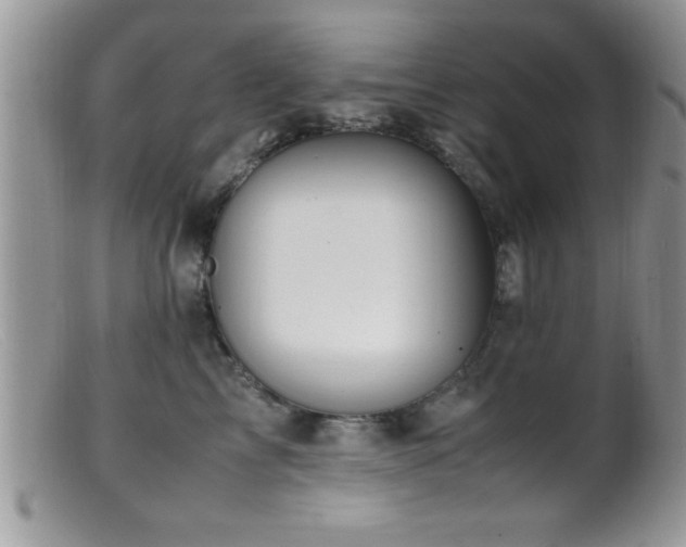 X0000099510713200805151459