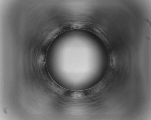 X0000099510714200805151459