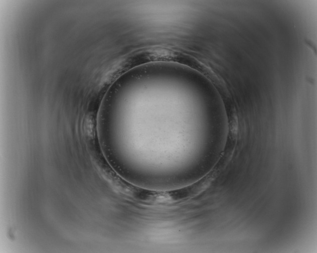 X0000099510715200805151459